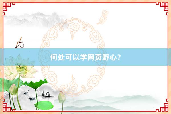 何处可以学网页野心？